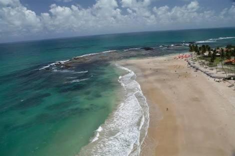 Palm Village - O Melhor De Cupe E Porto Pôrto das Galinhas Eksteriør bilde